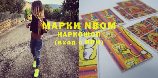 прущие грибы Верея