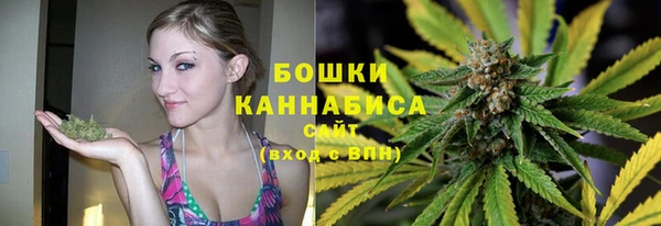 МДПВ Бронницы