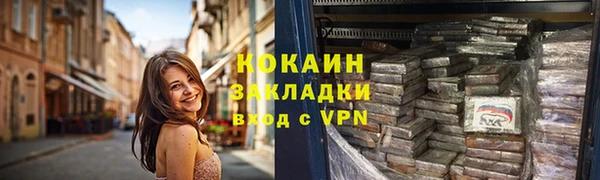 крисы Бородино