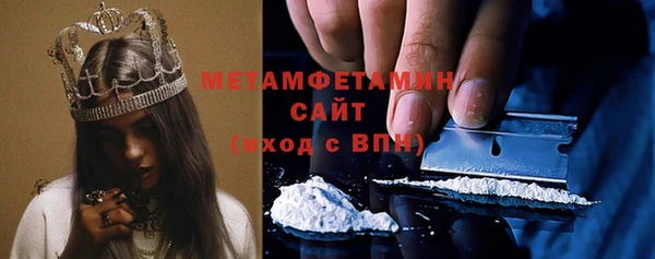 прущие грибы Верея
