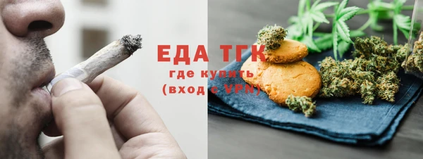 амф Верхний Тагил