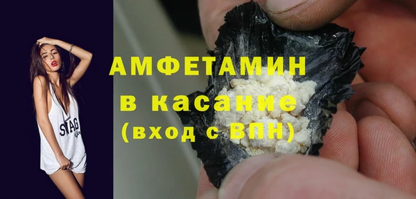 крисы Бородино