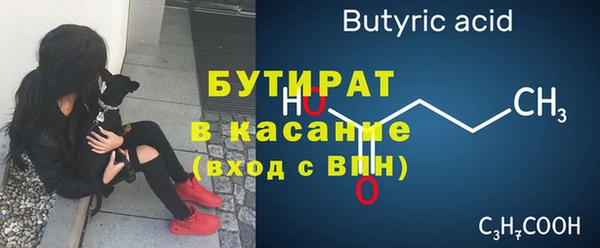 крисы Бородино
