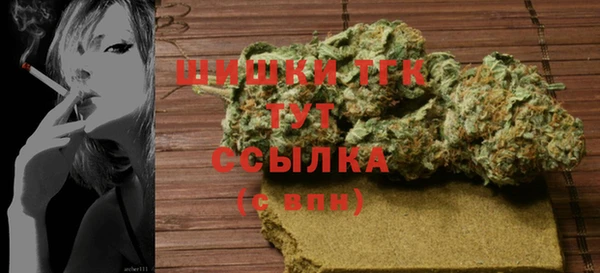 амф Верхний Тагил