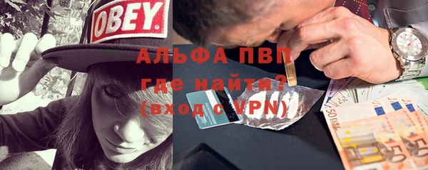 молекула духа Магадан