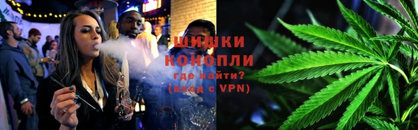 крисы Бородино
