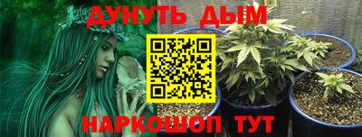 каннабис Берёзовский