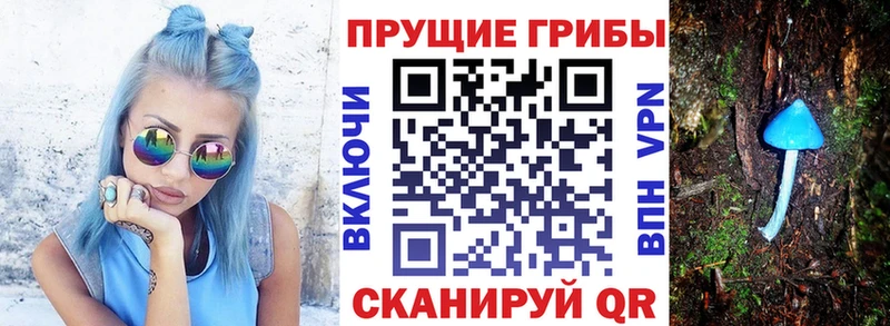 Псилоцибиновые грибы прущие грибы Воткинск
