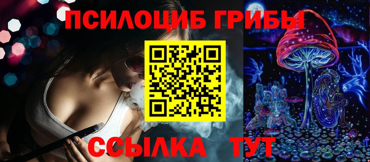 Псилоцибиновые грибы Cubensis Воткинск